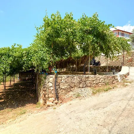 Korunakli Dogal Uzumlu (Mediterranean)